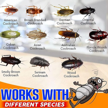 Cockroach™ Gel Killer - Set of 3 Pieces