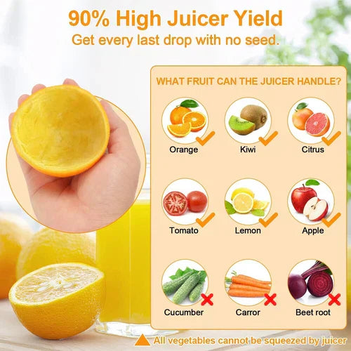 Automatic Citrus Fruit Juicer